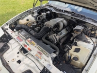 1988 Pontiac Trans Am for sale in Michigan (ID-162561)