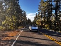 1988 Porsche 911 Carrera for sale in Michigan (ID-146154)