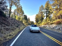 1988 Porsche 911 Carrera for sale in Michigan (ID-146154)