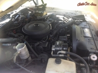 1989 Chevrolet Caprice Classic for sale in Auburn (Alabama), Alabama (ID-68199)