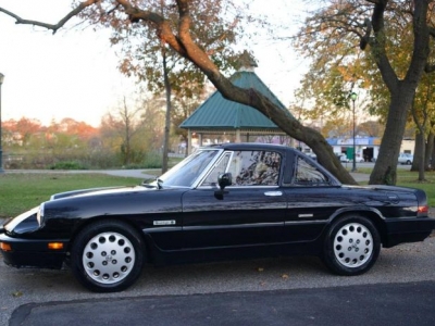 1989 Alfa Romeo Spider for sale