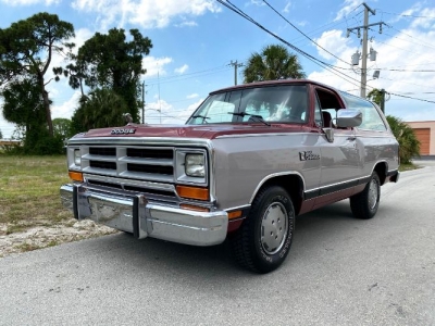 1989 Dodge Ramcharger for sale