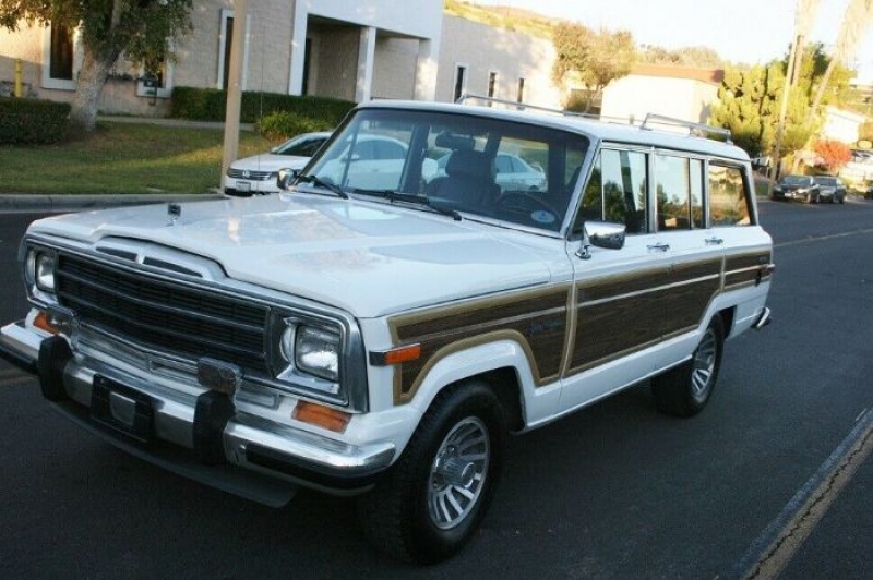 1989 Jeep Grand Wagoneer for sale in Michigan (ID-84487)