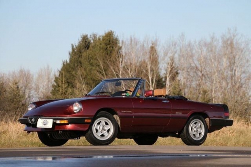1989 Alfa Romeo Spider for sale in Riverhead, New York (ID-123223)