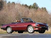 1989 Alfa Romeo Spider for sale in Riverhead, New York (ID-123223)