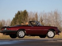 1989 Alfa Romeo Spider for sale in Riverhead, New York (ID-123223)