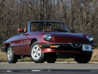 1989 Alfa Romeo Spider for sale in Riverhead, New York (ID-123223)
