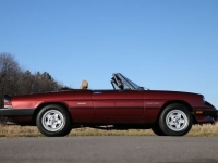 1989 Alfa Romeo Spider for sale in Riverhead, New York (ID-123223)