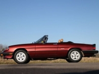 1989 Alfa Romeo Spider for sale in Riverhead, New York (ID-123223)