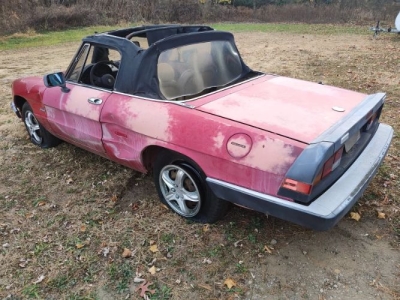 1989 Alfa Romeo Spider for sale