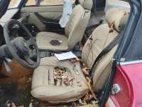 1989 Alfa Romeo Spider for sale in Michigan (ID-137254)