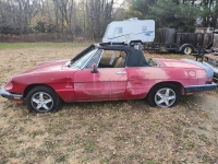 1989 Alfa Romeo Spider for sale in Michigan (ID-137254)