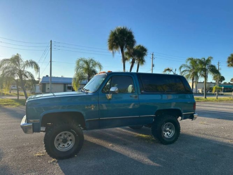 1989 Chevrolet Blazer for sale in Michigan (ID-146664)