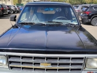1989 Chevrolet Blazer for sale in Michigan (ID-162908)