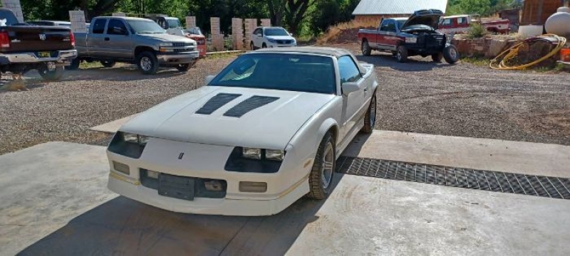 1989 Chevrolet Camaro IROC-Z for sale in Michigan (ID-101064)
