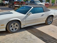 1989 Chevrolet Camaro IROC-Z for sale in Michigan (ID-101064)