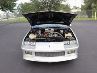 1989 Chevrolet Camaro for sale in Michigan (ID-119500)