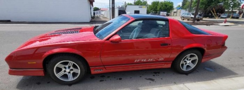 1989 Chevrolet Camaro for sale in Michigan (ID-119610)
