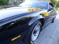 1989 Chevrolet Camaro for sale in Michigan (ID-122703)