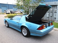 1989 Chevrolet Camaro for sale in Michigan (ID-124902)