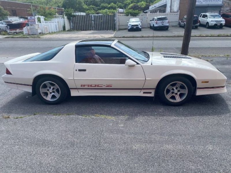 1989 Chevrolet Camaro for sale in Michigan (ID-131115)