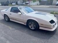 1989 Chevrolet Camaro for sale in Michigan (ID-131115)
