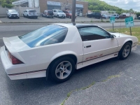 1989 Chevrolet Camaro for sale in Michigan (ID-131115)