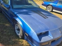 1989 Chevrolet Camaro for sale in Michigan (ID-134801)