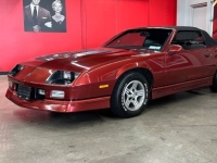 1989 Chevrolet Camaro for sale in Michigan (ID-142444)