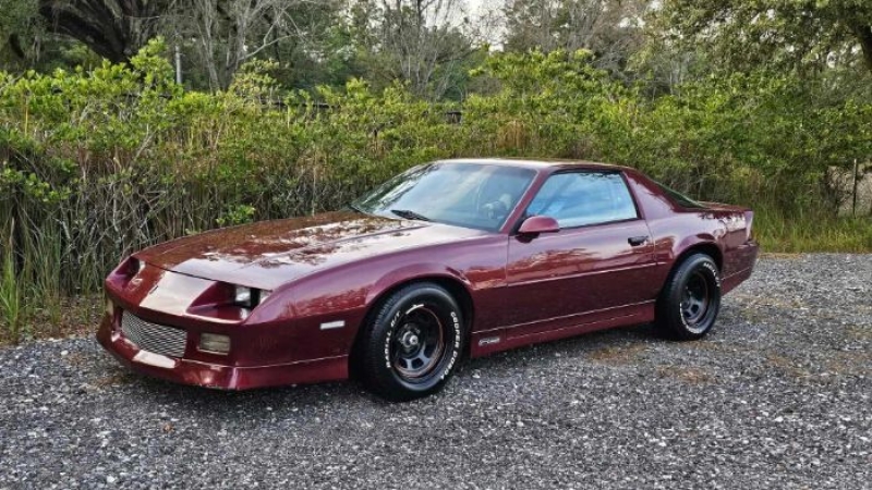 1989 Chevrolet Camaro for sale in Michigan (ID-155981)