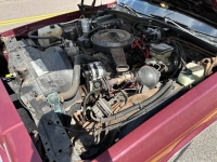1989 Chevrolet Caprice for sale in Michigan (ID-133931)