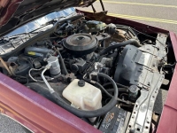 1989 Chevrolet Caprice for sale in Michigan (ID-133931)