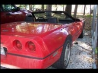 1989 Chevrolet Corvette for sale in Michigan (ID-95081)