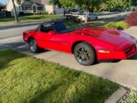 1989 Chevrolet Corvette for sale in Michigan (ID-119053)