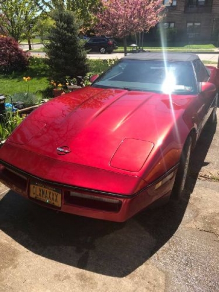 1989 Chevrolet Corvette for sale in Michigan (ID-125249)