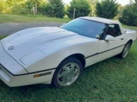 1989 Chevrolet Corvette for sale in Michigan (ID-135994)