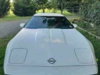 1989 Chevrolet Corvette for sale in Michigan (ID-135994)
