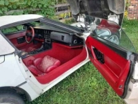 1989 Chevrolet Corvette for sale in Michigan (ID-135994)