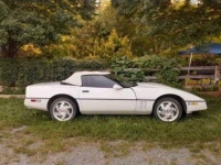 1989 Chevrolet Corvette for sale in Michigan (ID-135994)
