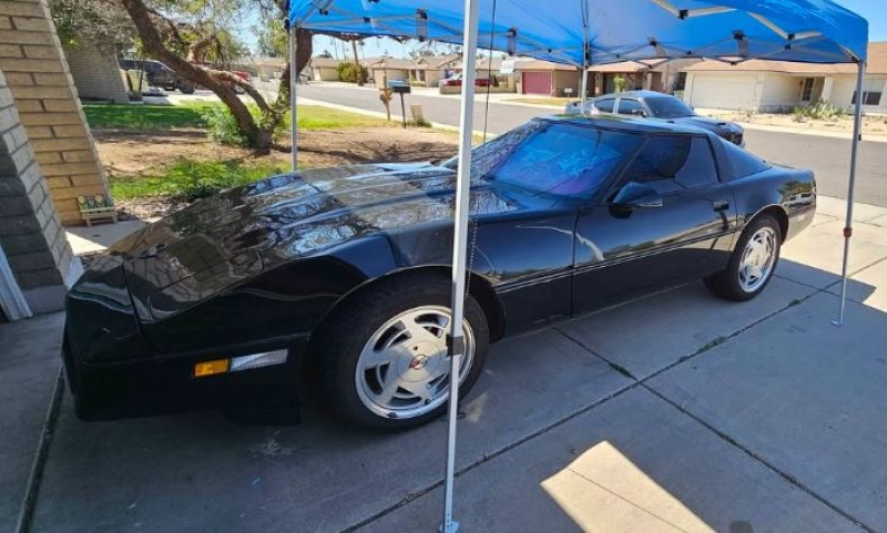 1989 Chevrolet Corvette for sale in Michigan (ID-141786)