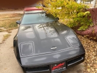 1989 Chevrolet Corvette for sale in Michigan (ID-162529)