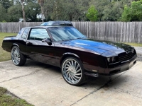1989 Chevrolet Monte Carlo for sale in Michigan (ID-122473)