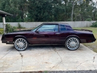 1989 Chevrolet Monte Carlo for sale in Michigan (ID-122473)