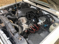 1989 Chevrolet S10 for sale in Michigan (ID-114175)