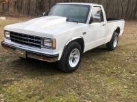 1989 Chevrolet S10 for sale in Michigan (ID-114175)