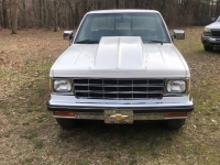 1989 Chevrolet S10 for sale in Michigan (ID-114175)