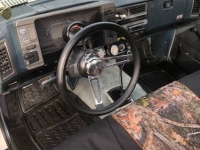 1989 Chevrolet S10 for sale in Michigan (ID-114175)