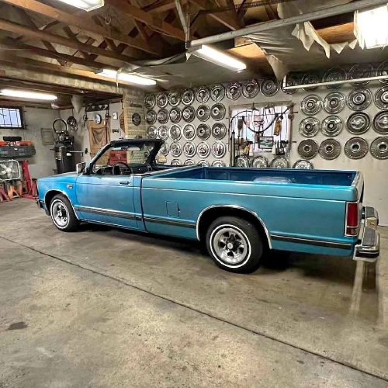 1989 Chevrolet S10 for sale in Michigan (ID-140574)