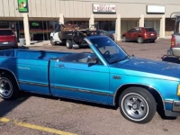 1989 Chevrolet S10 for sale in Michigan (ID-140574)