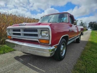 1989 Dodge D150 for sale in Michigan (ID-122478)